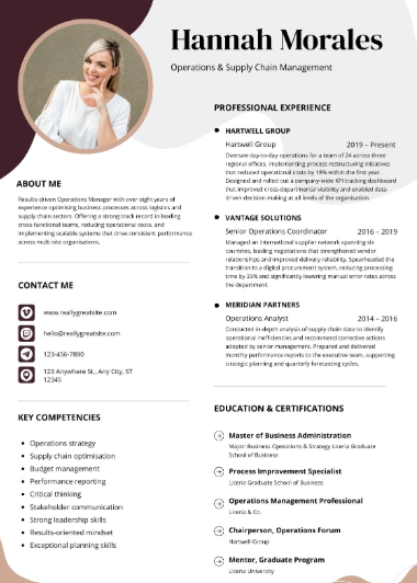Professional CV Sample 68